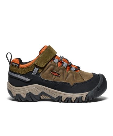 Little Kids' Targhee IV Waterproof Hiking Shoe